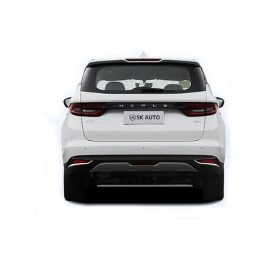 Recepción del negocio del coche eléctrico de Seat Mpv de la puerta seis del automóvil EV cinco de la hoja de arce 80V de Lifan